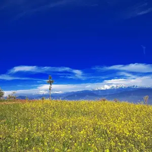 Explore Australian  Camp Trek Pokhara- 5 Days for 5 days with Alpine Club of Himalaya and discover unforgettable experiences - Photo 6