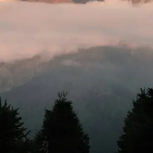 Explore Ghorepani Poon Hill Trek- 9 Days for 9 days with Alpine Club of Himalaya and discover unforgettable experiences - Photo 3