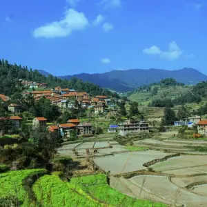 Explore Nepal Temples & Pagodas Tour - 5 Days for 5 days with Alpine Club of Himalaya and discover unforgettable experiences - Photo 8