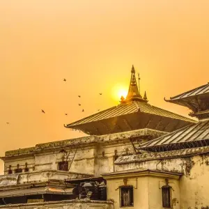 Explore Nepal Temples & Pagodas Tour - 5 Days for 5 days with Alpine Club of Himalaya and discover unforgettable experiences - Photo 10