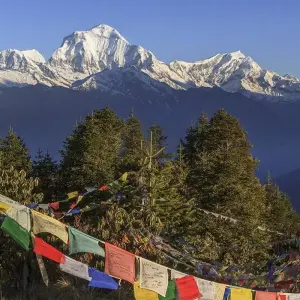 Explore POONHILL SUNRISE AND EVEREST VIEW TREK-17 DAYS for 17 days with Alpine Club of Himalaya and discover unforgettable experiences - Photo 5