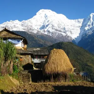 Explore Eco Community-Cultural Trek - 14 Days for 14 days with Alpine Club of Himalaya and discover unforgettable experiences - Photo 3