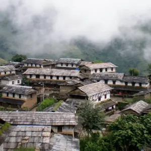 Explore Gurung Village Trek - The Siklis - 11 Days for 11 days with Alpine Club of Himalaya and discover unforgettable experiences - Photo 3