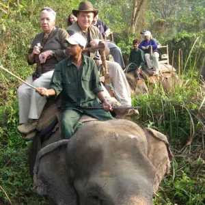 Explore Hot Spring Trek an Wildlife Safari Mountain And Elephant Safari - 11 Days for 11 days with Alpine Club of Himalaya and discover unforgettable experiences - Photo 3