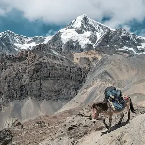 Explore Everest Base Camp Trek (Comfort) for 14 days with Alpine Ramble Treks  and discover unforgettable experiences - Photo 2