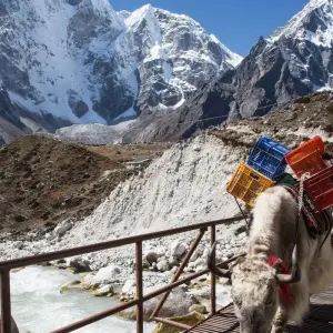 Explore Everest Base Camp Luxury Lodge - 15 Days for 15 days with Alpine Club of Himalaya and discover unforgettable experiences - Photo 3