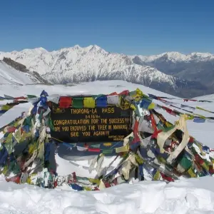 Explore Annapurna Circuit Trek - 18 Days for 18 days with Alpine Club of Himalaya and discover unforgettable experiences - Photo 4