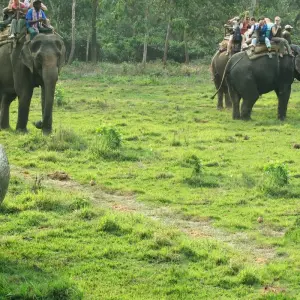 Explore Hot Spring Trek an Wildlife Safari Mountain And Elephant Safari - 11 Days for 11 days with Alpine Club of Himalaya and discover unforgettable experiences - Photo 5