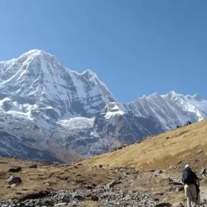 Explore Annapurna Base Camp Trek - 8 Days for 8 days with Alpine Ramble Treks  and discover unforgettable experiences - Photo 7
