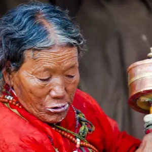 Explore Nepal and Tibet Tour for 14 days with Alpine Luxury Treks Pvt Ltd and discover unforgettable experiences - Photo 3