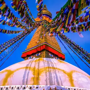 Explore Nepal and Tibet Tour for 14 days with Alpine Luxury Treks Pvt Ltd and discover unforgettable experiences - Photo 6