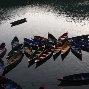 Explore Luxury Ghorepani Poon Hill Trek for 11 days with Alpine Luxury Treks Pvt Ltd and discover unforgettable experiences - Photo 6