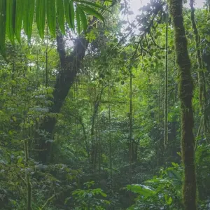 Explore Jungle Safari Tour - 2N/ 3 Day for 3 days with Alpine Ramble Treks  and discover unforgettable experiences - Photo 9