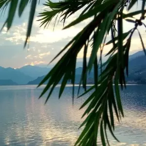 Explore Luxury Ghorepani Poon Hill Trek for 11 days with Alpine Luxury Treks Pvt Ltd and discover unforgettable experiences - Photo 9