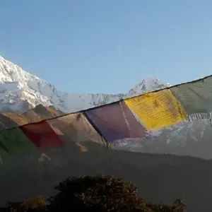 Explore Luxury Ghorepani Poon Hill Trek for 11 days with Alpine Luxury Treks Pvt Ltd and discover unforgettable experiences - Photo 10