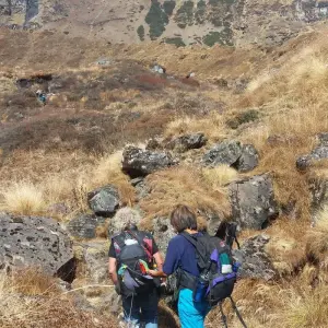 Explore Luxury Annapurna Base Camp Trek for 13 days with Alpine Luxury Treks Pvt Ltd and discover unforgettable experiences - Photo 7