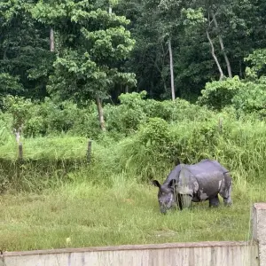 Explore Chitwan Tour with Staying Inside The Park for 3 days with Alpine Luxury Treks Pvt Ltd and discover unforgettable experiences - Photo 5