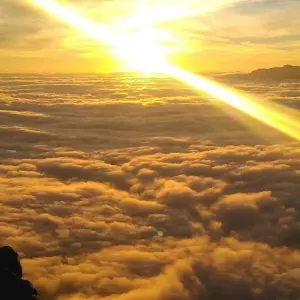 Explore Mardi Himal Trek for 9 days with Alpine Luxury Treks Pvt Ltd and discover unforgettable experiences - Photo 6