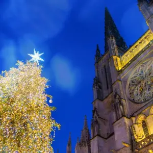 Explore Taste of Bordeaux (Wine Cruise) 2026 for 8 days with AmaWaterways and discover unforgettable experiences - Photo 2