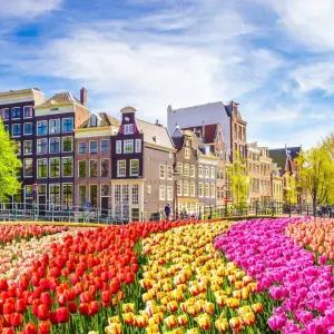 Explore Captivating Rhine 2026 for 8 days with AmaWaterways and discover unforgettable experiences - Photo 7