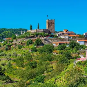 Explore Flavors of Portugal & Spain (Christmas Cruise) 2026 for 8 days with AmaWaterways and discover unforgettable experiences - Photo 8