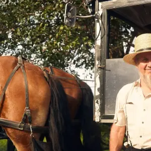 Explore Philadelphia, Amish Country and Washington DC - 2 Days for 2 days with Amadeo and discover unforgettable experiences - Photo 2