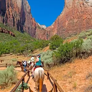 Explore Valley of Fire and Zion Park - 1 Day for 1 days with Amadeo and discover unforgettable experiences - Photo 4