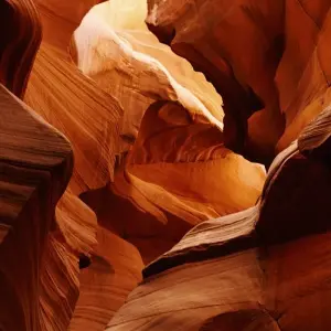 Explore Antelope Canyon and Horseshoe Bend - 1 Day for 1 days with Amadeo and discover unforgettable experiences - Photo 5