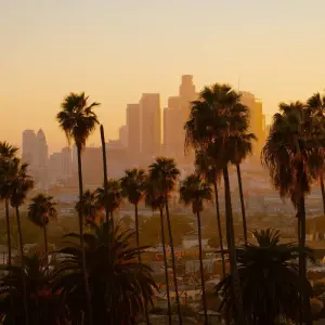 Explore California Express - 3 Days for 3 days with Amadeo and discover unforgettable experiences - Photo 4