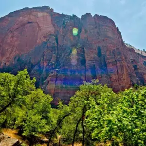 Explore Valley of Fire and Zion Park - 1 Day for 1 days with Amadeo and discover unforgettable experiences - Photo 6