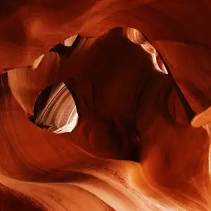 Explore Vegas and The Best of The West for 7 days with Amadeo and discover unforgettable experiences - Photo 7