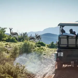 Explore Exclusive Cape Town and Garden Route Safari for 6 days with Amatungulu Tour and discover unforgettable experiences - Photo 2