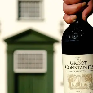 Explore Exclusive Cape Town and Garden Route Safari for 6 days with Amatungulu Tour and discover unforgettable experiences - Photo 3