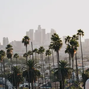 Explore California Express - 3 Days for 3 days with Amadeo and discover unforgettable experiences - Photo 11