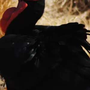 Explore Luxury Train on The Bridge Kruger Park Safari and Panorama Route for 4 days with Amatungulu Tour and discover unforgettable experiences - Photo 8