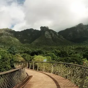 Explore Cape Town, Winelands, Garden Route & Addo National Park Tour for 7 days with Amatungulu Tour and discover unforgettable experiences - Photo 3