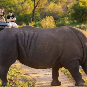 Explore Kruger National Park & Panorama Route Safari - 3 days for 3 days with Amatungulu Tour and discover unforgettable experiences - Photo 8