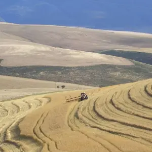 Explore Meander to South Africa's best kept secrets and experience Lesotho for 12 days with Amatungulu Tour and discover unforgettable experiences - Photo 3