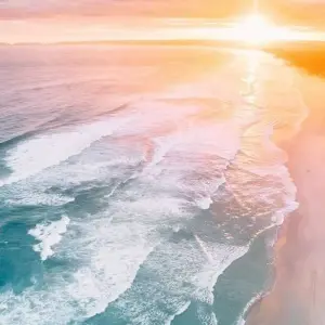 Explore Cape Town and Garden Route Adventure Tour for 6 days with Amatungulu Tour and discover unforgettable experiences - Photo 9