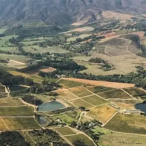 Explore Cape Town, Winelands, Garden Route & Addo National Park Tour for 7 days with Amatungulu Tour and discover unforgettable experiences - Photo 10