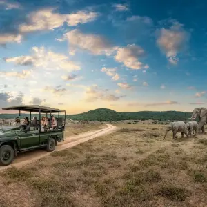 Explore Kruger National Park Safari from Kruger Mpumalanga Int. Airport (KMI/MQP) and Panorama Route for 5 days with Amatungulu Tour and discover unforgettable experiences - Photo 11