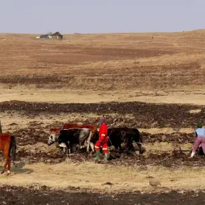 Explore Meander to South Africa's best kept secrets and experience Lesotho for 12 days with Amatungulu Tour and discover unforgettable experiences - Photo 7