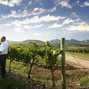Explore LGBTQ vacation to exquisite and picturesque places in South Africa -"Group special" for 15 days with Amatungulu Tour and discover unforgettable experiences - Photo 7