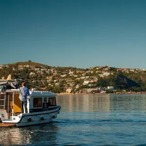 Explore Cape Town, Winelands, Garden Route & Addo National Park Tour for 7 days with Amatungulu Tour and discover unforgettable experiences - Photo 11