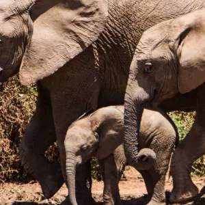 Explore Awesome Kruger National Park & Panorama Route Safari South Africa for 4 days with Amatungulu Tour and discover unforgettable experiences - Photo 9