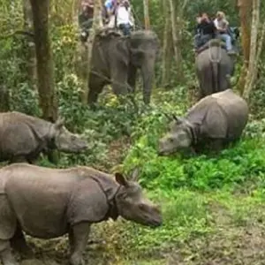 Explore Multi Adventure Kathmandu Nagarkot Lumbini  Pokhara Poonhill Trekking Tour for 15 days with Amazing Authentic Treks  and discover unforgettable experiences - Photo 2