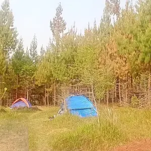 Explore Nature Camp Stay With Everest View Over night Stay Buddhist culture Trip Guru Rimpoche Meditation Cave visit for 2 days with Amazing Authentic Treks  and discover unforgettable experiences - Photo 6
