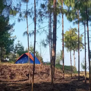 Explore Nature Camp Stay with Mountain view BBQ FUN for 3 days with Amazing Authentic Treks  and discover unforgettable experiences - Photo 4