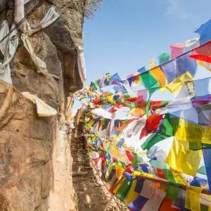 Explore Nature Camp Stay with Mountain view BBQ FUN for 3 days with Amazing Authentic Treks  and discover unforgettable experiences - Photo 5