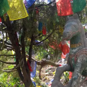 Explore Multi Adventure Kathmandu Nagarkot Lumbini  Pokhara Poonhill Trekking Tour for 15 days with Amazing Authentic Treks  and discover unforgettable experiences - Photo 9